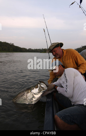 A Nicaraguan guide holds a big Rio San Juan tarpon while the angler admires the fish prior to release near the town of Sabalos. Stock Photo