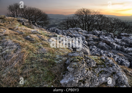 Limestone outcrops at Farletom Knott Cumbria Stock Photo