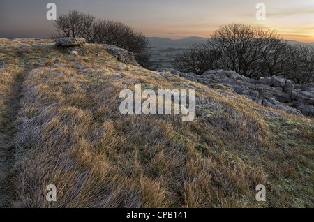 Limestone outcrops at Farletom Knott Cumbria Stock Photo