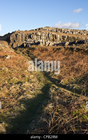 Limestone outcrops at Farletom Knott Cumbria Stock Photo