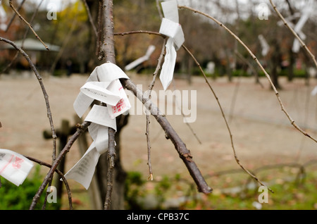 omikuji-are-random-fortunes-