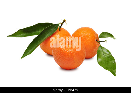 three mandarins with green leaves isolated on white background Stock Photo