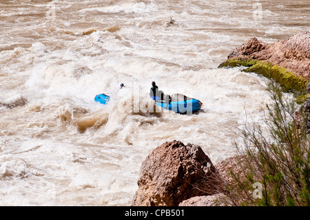 Whitewater rafting through Lava falls (class 9+) on the Colorado River in Grand Canyon National Park AZ Stock Photo