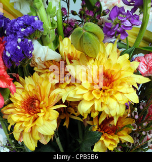 Selection of cut flowers. Stock Photo