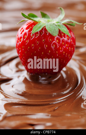 ripe strawberry in liquid chocolate Stock Photo