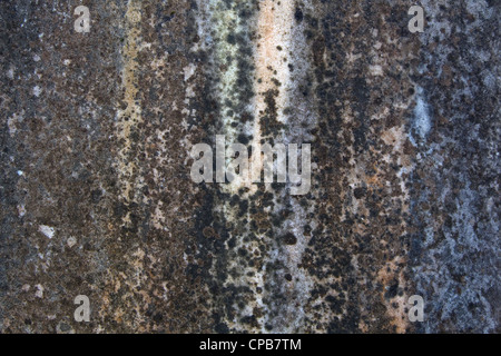 Texture stone detail close up Stock Photo