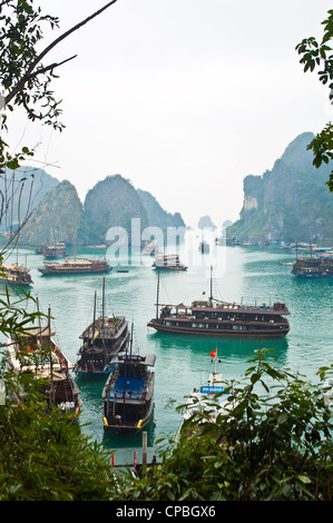 Vertical aerial view of one of many bays in Halong Bay bustling with traditional wooden tour boats. Stock Photo