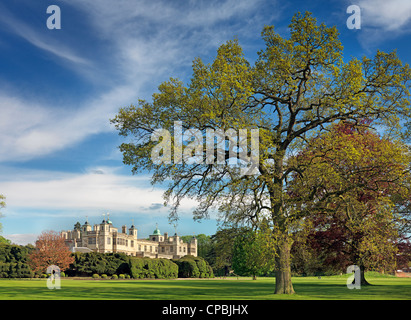 Audley End House framed by parkland trees in Spring Stock Photo