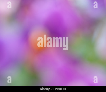 Abstract soft-focused background with vivid colors Stock Photo