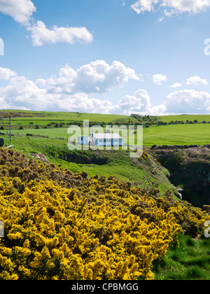 A holiday bungalow precariously perched on the cliff edge at Kettleness North Yorkshire with yellow gorse in the foreground Stock Photo