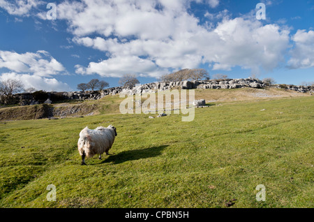 Limestone outcrops at Farletom Knott Cumbria Stock Photo