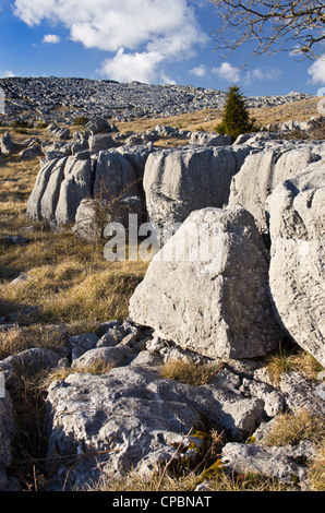 Limestone outcrops at Farletom Knott Cumbria Stock Photo