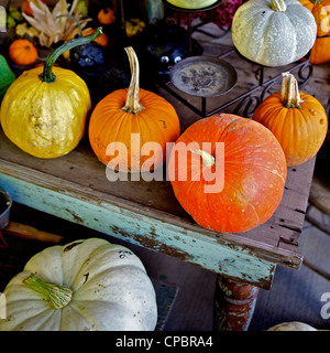 Pumpkins for sale on a farm in St. Joseph, Missouri, MO, USA Stock Photo