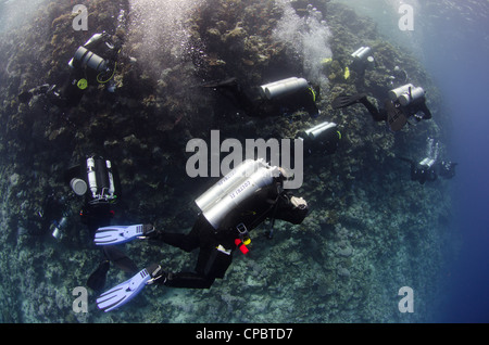 decompressing on the reeff at Thomas reef. Red SEa Stock Photo
