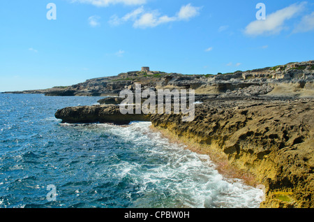 Shoreline and Martello Tower at Cala de Sant Esteve on Menorca in the Balearic islands, Spain Stock Photo