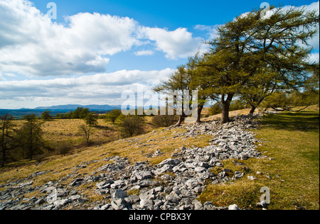 Helsington Barrows on one of the limestone ridges of the southern Lake District near Kendal Stock Photo