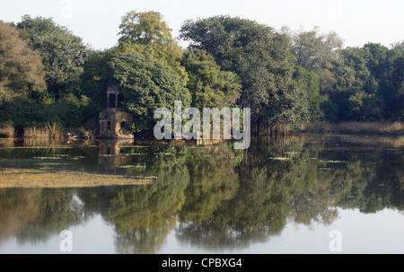 Scenery at the Ranthambore National Park in Rajasthan, India Stock Photo