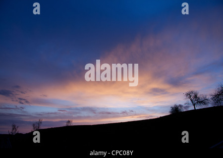 Early morning sunrise capturing a solitary tree Stock Photo - Alamy
