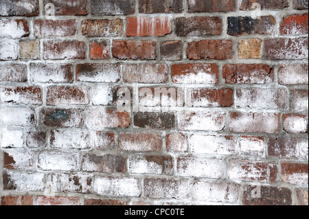 A white powdery deposit, called efflorescence is common on new brick ...