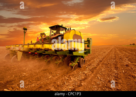 Planting Corn Stock Photo