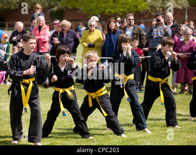 Children giving a demo of the korean Martial Art Kuk Sool Won, Newmarket Sport festival, Suffolk UK Stock Photo