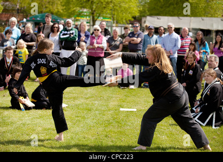 A young girl breaking a piece of wood with a high kick doing Kuk Sool Won, Korean martial arts, UK Stock Photo
