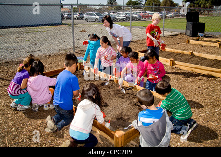 Hispanic and Caucasian local kindergarten children work in a garden on the grounds of an elementary school in Westminster, CA. Stock Photo