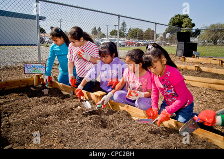Hispanic local children work in a garden on the grounds of an elementary school in Westminster, CA. Note sign. Stock Photo