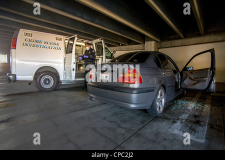 n his official van in Santa Ana, CA, a Hispanic police officer unpacks DNA swabs at a crime scene where a car was robbed. Stock Photo