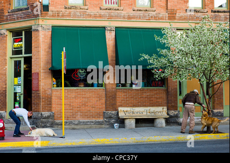 Two dogs greet two men. Historic downtown district, small mountain town of Salida, Colorado, USA Stock Photo