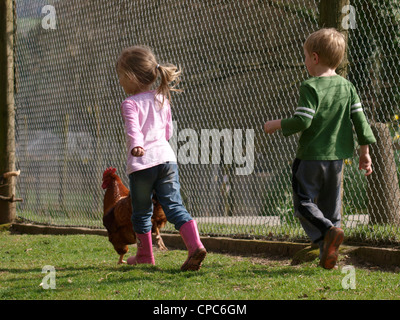 Two young children chasing a chicken in a petting zoo, UK Stock Photo