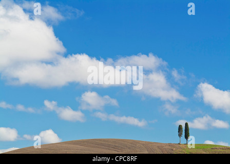 Val d Orcia typical two cypress trees landscape near San Quirico d Orcia Tuscany Italy EU Europe