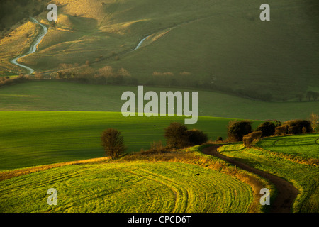 Winter morning in South Downs National Park, East Sussex, England. Stock Photo