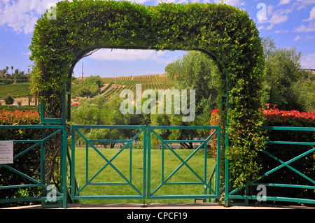 View of vineyards from the Thornton Winery, Temecula, California Stock Photo