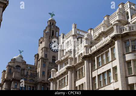 Royal Liver Building, a Grade I listed building in Liverpool Stock Photo