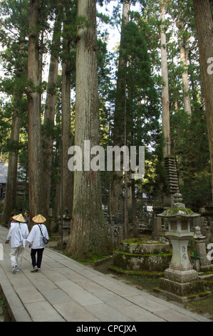 Okuno In Buddhist Cemetary, the largest in Japan. Koyasan, Honshu, Japan Stock Photo