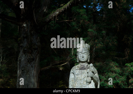 Okuno In Buddhist Cemetary, the largest in Japan. Koyasan, Honshu, Japan Stock Photo