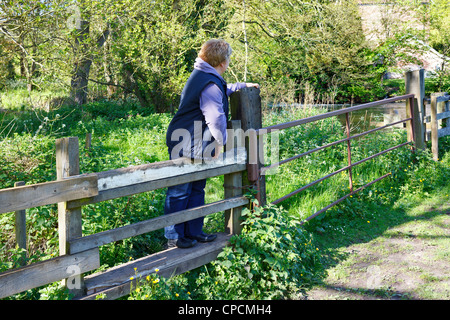 A woman climbing over a stile on the towpath along side the 'River Bure' Norfolk, UK Stock Photo