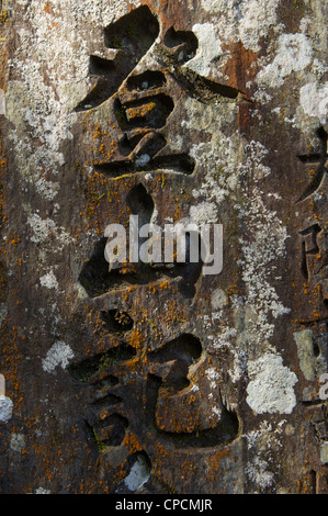 Okuno In Buddhist Cemetary, the largest in Japan. Koyasan, Honshu, Japan Stock Photo