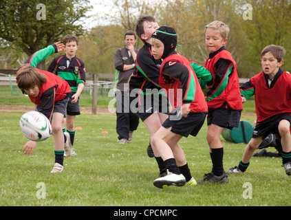 Junior boys rugby match, Newmarket Suffolk UK Stock Photo