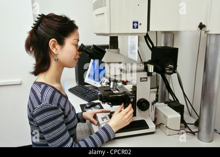 Researcher, Nikon MRC1024 Confocal/UV Laser Scanning Microscope. Stock Photo