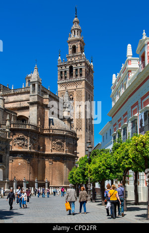 Seville, La Giralda, Seville Cathedral view from Plaza del Triunfo Stock Photo