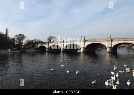 Kingston Bridge spans the River Thames at Kingston-upon-Thames, a suburb of London, England, United Kingdom, Europe Stock Photo