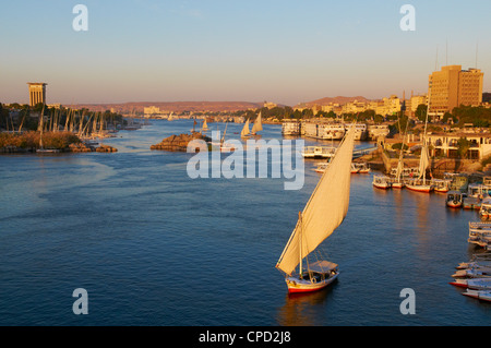 Feluccas on the River Nile, Aswan, Egypt, North Africa, Africa Stock Photo