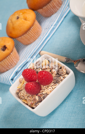 Healthy nutrition with fresh milk and muesli Stock Photo