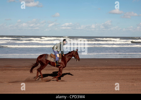 Horse rider on a beach near Azemmour, Morocco, North Africa, Africa Stock Photo