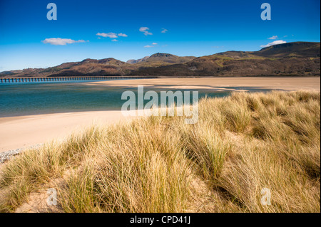 Cader Idris and the Mawddach Estuary, Snowdonia, Gwynedd Wales UK Stock Photo