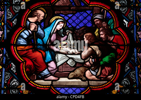 Nativity stained glass in Sainte Clotilde church, Paris, France, Europe Stock Photo