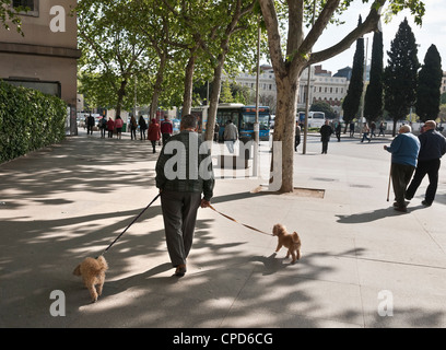 Walking dogs in the Ronda de Atocha, Central Madrid, Spain. Stock Photo