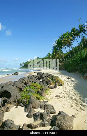 Brazil Tibau do sul Rio Grande do Norte northeastern Brazil beach landscape sunny day with blue sky Stock Photo